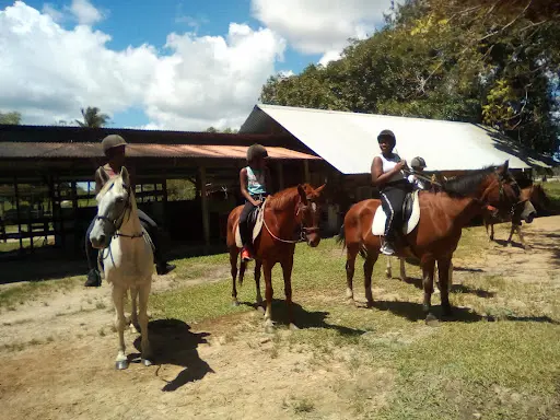 Royal Ranch Équitation