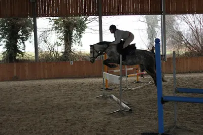 Centre Equestre Ecuries d'Estran
