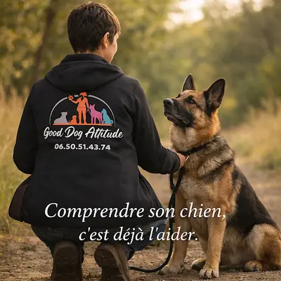 Good Dog Attitude
