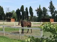 Cd Little Ranch