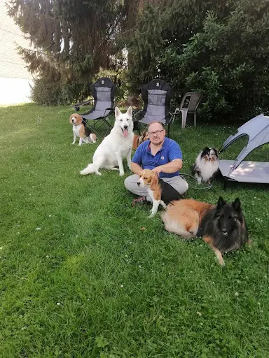 Pension Canine "family Dogs Comme À la Maison"