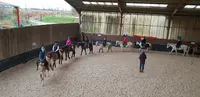 Poney Club de l'Escaut