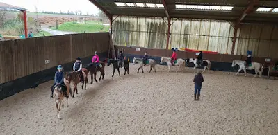 Poney Club de l'Escaut