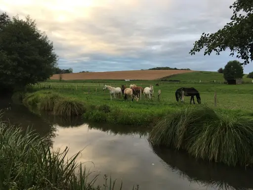 Haras du Moulin
