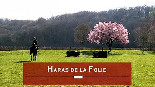 Haras de la Folie ~ Écurie Toczé Thirouin