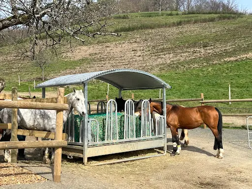 La Ferme du Poney Roi