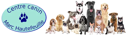 Centre Canin Marc Hautefeuille