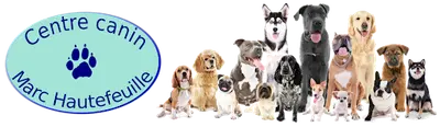 Centre Canin Marc Hautefeuille