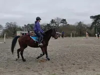 Pondi Équitation