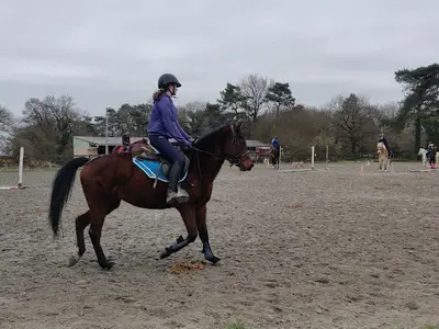 Pondi Équitation