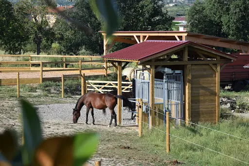 Ecurie Active By Horse Stop®