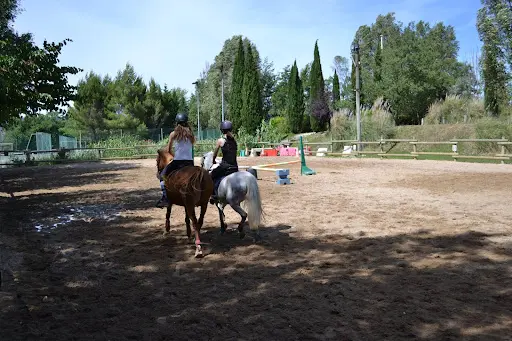 Ecurie du Domaine de Pont Royal - Centre Equestre de Pont Royal Mallemort (ecurie du Soleil)