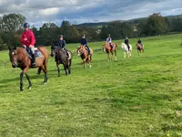 Centre Equestre Elevage Frenchy