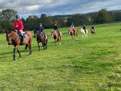 Centre Equestre Elevage Frenchy