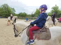 Cheval & Humain les Cavaliers des Roses