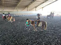 Centre Equestre le Pilon