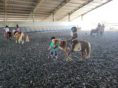 Centre Equestre le Pilon