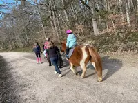 Ecuries du Moulin À Vent