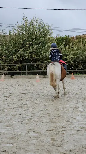 Haras de Croix d'Hins