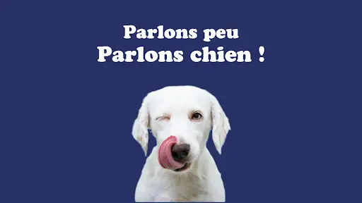 Langue de Chien - Éducateur Canin