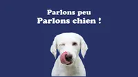 Langue de Chien - Éducateur Canin