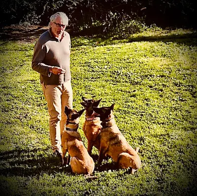 6notracker Agence Canine