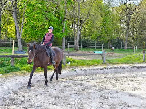 Haras des Chapelles