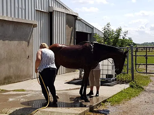 Les Ecuries du Haras Saint Georges