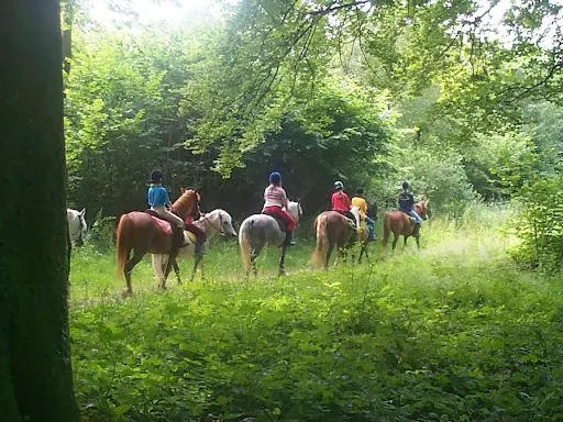 Poney Club de Marck