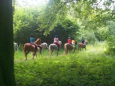 Poney Club de Marck