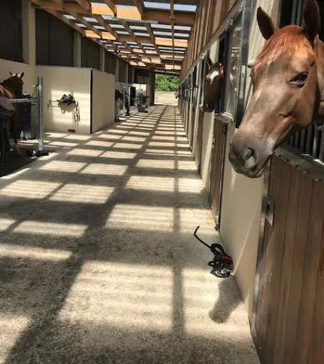 Centre Equestre la Calèche