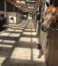 Centre Equestre la Calèche