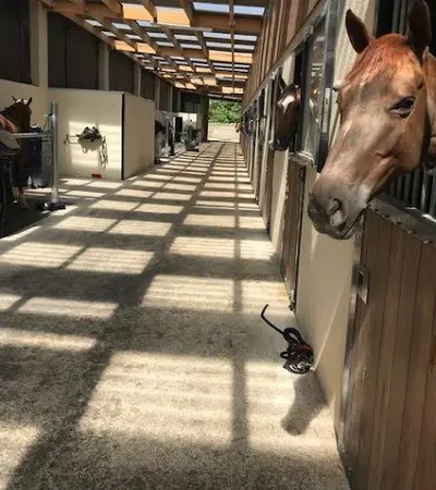 Centre Equestre la Calèche
