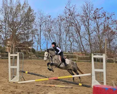 Centre Equestre Régional du Forez (asem Cerf)