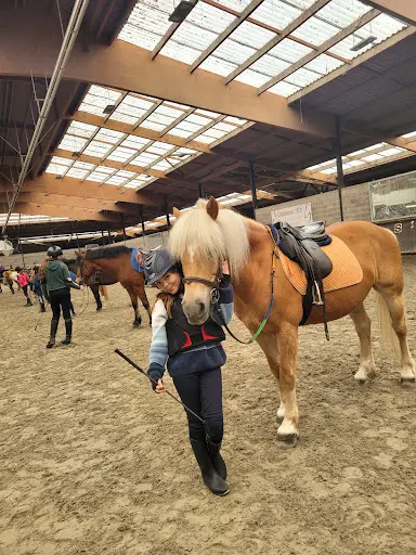 Centre Équestre René Dujardin 🐎