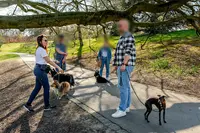 Paws Therapy - Éducatrice/comportementaliste Canin