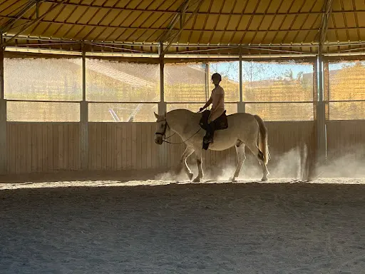 Écurie des Terres d'Or - Marcy l'Étoile