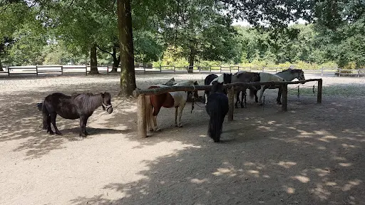 Poneyterie du Parc Lacroix Laval