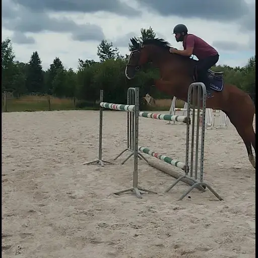 Genon Equestrian Sport