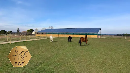 Écurie de Gymnastique Équestre