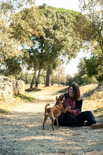 Truffe Complice – Éducateur Canin & Comportementaliste À Marguerittes (gard)