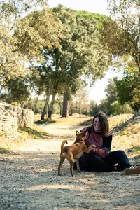 Truffe Complice – Éducateur Canin & Comportementaliste À Marguerittes (gard)