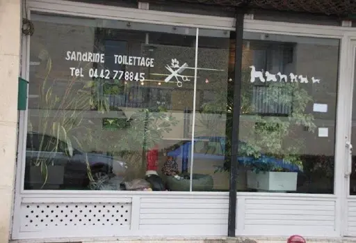 Sandrine Toilettage Canin