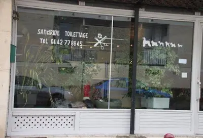Sandrine Toilettage Canin