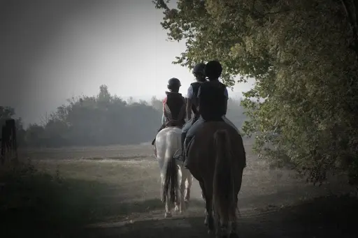 Haras de Marigny