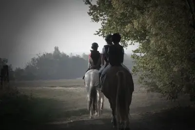 Haras de Marigny
