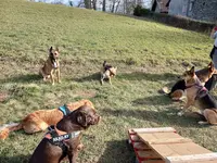 Symdog74