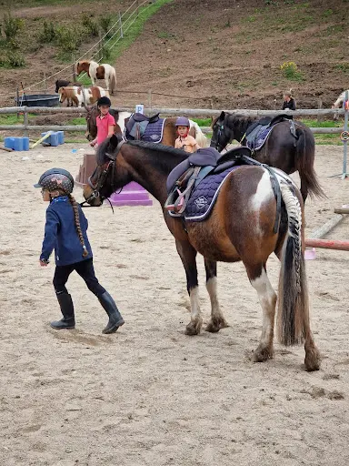 Equi Libre Poney Club de Maringes