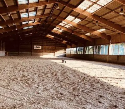 Écurie Hcc - Horses Competition Concept
