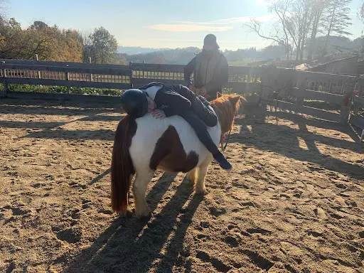Les Chevaux du Sourire